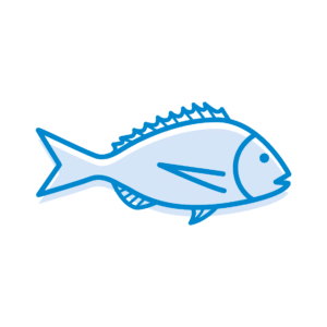 Dessin poisson marin